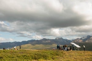 Production photo courtesy of Wildlike