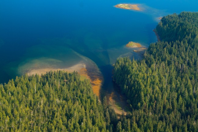 Aerial view of Tongass National Forest