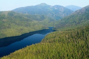 Aerial view of Tongass National Forest