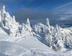 Steep chutes