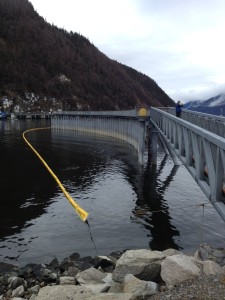 Absorbent boom has been deployed around the dock area. (Photo by Doug Smith/KHNS)