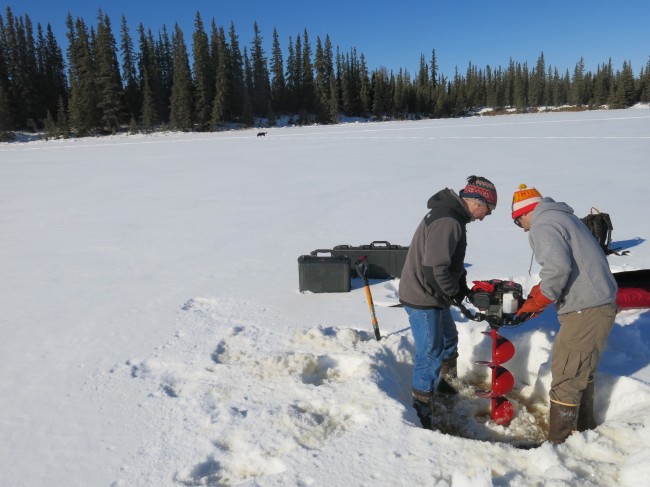 From left, Chris Arp and Ben Gaglioti drill a hole in a small  lake near Fairbanks. (Photo by Ned Rozell)