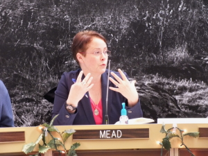 Amy Mead, city attorney