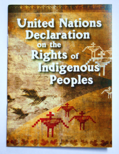 un-declaration-poster