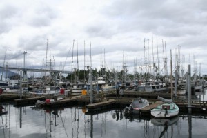 Sitka’s ANB Harbor, home to many local trollers. (Greta Mart/Photo by KCAW)