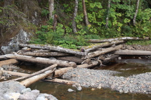 The remnants of an old hydro project. (Photo by Elizabeth Jenkins/KTOO) 