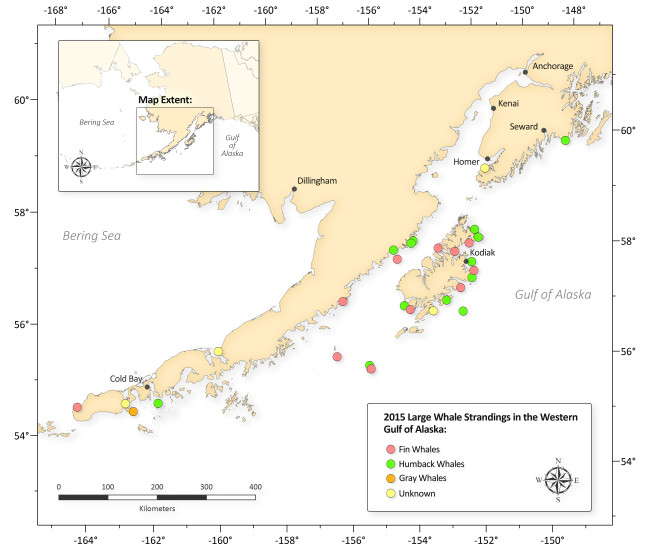 Handout map shows this summer's reported whale strandings. (Courtesy NOAA)
